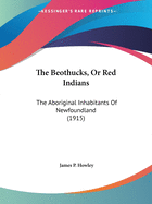 The Beothucks, or Red Indians: The Aboriginal Inhabitants of Newfoundland (1915)