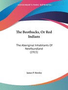 The Beothucks, Or Red Indians: The Aboriginal Inhabitants Of Newfoundland (1915)