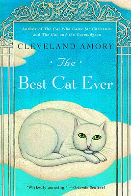 The Best Cat Ever - Amory, Cleveland