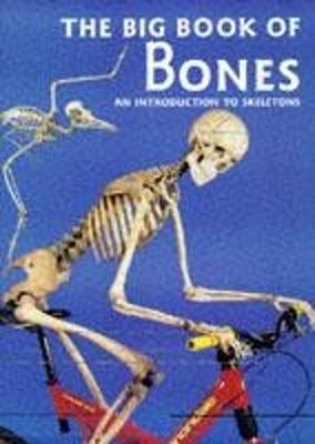 The Big Book of Bones: Introduction to Skeletons - Llewellyn, Claire