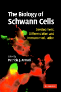 The Biology of Schwann Cells: Development, Differentiation and Immunomodulation