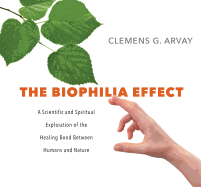 The Biophilia Effect: The Healing Bond Between Humans and Nature