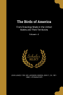 The Birds of America: From Drawings Made in the United States and Their Territories; Volume v 4