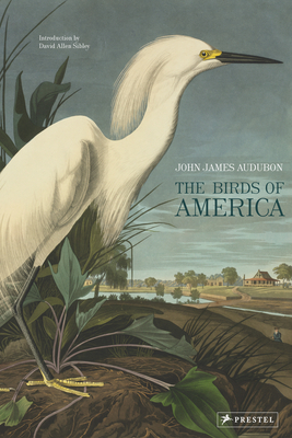 The Birds of America - Audubon, John James, and Sibley, David Allen (Introduction by)