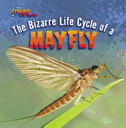 The Bizarre Life Cycle of a Mayfly