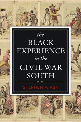 The Black Experience in the Civil War South - Ash, Stephen V