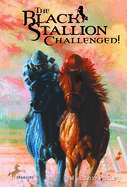 The Black Stallion Challenged!