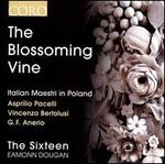 The Blossoming Vine: Italian Maestri in Poland