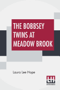 The Bobbsey Twins At Meadow Brook