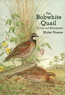 The Bobwhite Quail, Its Life and Management