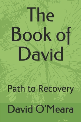 The Book of David: Path to Recovery - O'Meara, David Alan