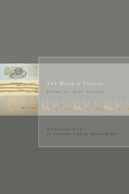 The Book of Things - Steger, Ales, and Henry, Brian (Translated by)