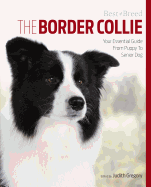 The Border Collie: Your Essential Guide from Puppy to Senior Dog