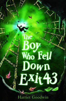 The Boy Who Fell Down Exit 43 - Goodwin, Harriet