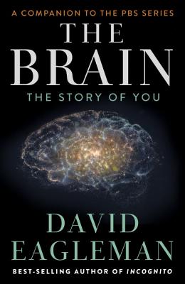 The Brain: The Story of You - Eagleman, David