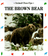 The Brown Bear