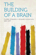 The Building of a Brain