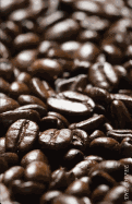 The Coffee: Alphabetical address book For Record Internet Address and Password Logbook