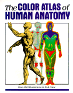 The Color Atlas of Human Anatomy: Nuovo Atlante del Corpo Umano.