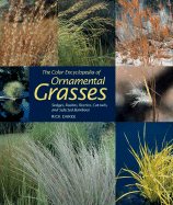 The Color Encyclopedia of Ornamental Grasses: Sedges, Rushes, Restios, Cat-Tails, and Selected Bamboos - Darke, Rick
