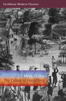 The Colour of Forgetting - Collins, Merle
