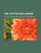 The Cotton Bollworm