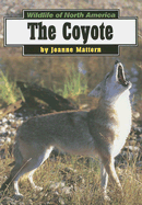 The Coyote