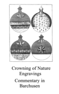 The Crowning of Nature Engravings