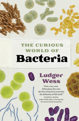 The Curious World of Bacteria - Wess, Ludger, and McIntosh, Jamie (Translated by)