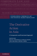 The Derivative Action in Asia: A Comparative and Functional Approach