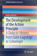 The Development of the Action Principle: A Didactic History from Euler-Lagrange to Schwinger