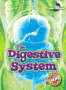 The Digestive System