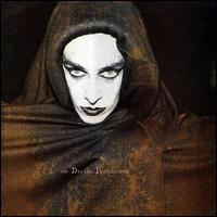 The Divine Punishment - Diamanda Gals