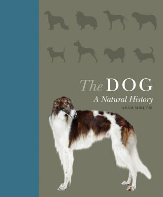The Dog: A Natural History - Miklsi, dm