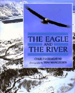 The Eagle and the River