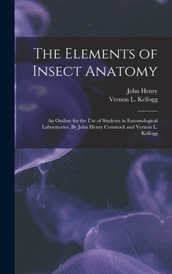 The Elements of Insect Anatomy; an Outline for the Use of Students in Entomological Laboratories. By John Henry Comstock and Vernon L. Kellogg - Comstock, John Henry 1849-1931, and Kellogg, Vernon L (Vernon Lyman) 18 (Creator)