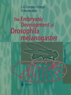 The Embryonic Development of Drosophila melanogaster - Campos-Ortega, Jose A., and Hartenstein, Volker
