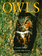The Enchanting Owl - Toops, Connie