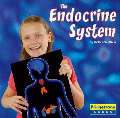The Endocrine System - Olien, Rebecca