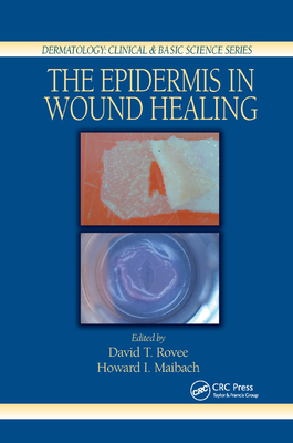The Epidermis in Wound Healing - Rovee, David T. (Editor), and Maibach, Howard I. (Editor)