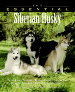 The Essential Siberian Husky