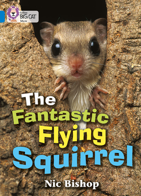 The Fantastic Flying Squirrel: Band 04/Blue - Moon, Cliff (Series edited by), and Collins Big Cat (Prepared for publication by)