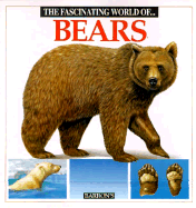The Fascinating World of Bears - Julivert, Maria A, and Studios, Marcel S (Illustrator), and Julivert, Angels