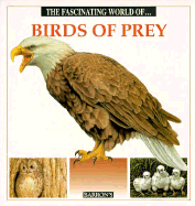 The Fascinating World of Birds of Prey
