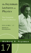The Feynman Lectures on Physics: The Complete Audio Collection Vol. 17