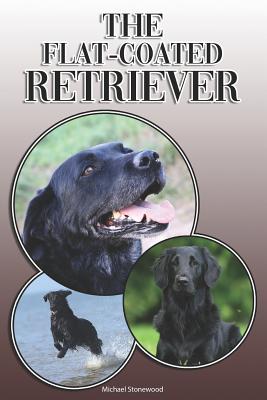 The Flat-Coated Retriever: A Complete and Comprehensive Owners Guide To: Buying, Owning, Health, Grooming, Training, Obedience, Understanding and Caring for Your Flat-Coated Retriever - Stonewood, Michael