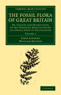 The Fossil Flora of Great Britain: Or, Figures and Descriptions of the Vegetable Remains Found in a Fossil State in this Country