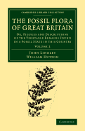 The Fossil Flora of Great Britain: Or, Figures and Descriptions of the Vegetable Remains Found in a Fossil State in This Country