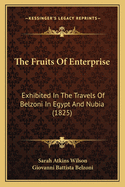 The Fruits of Enterprise: Exhibited in the Travels of Belzoni in Egypt and Nubia (1825)
