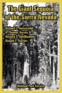 The Giant Sequoia of the Sierra Nevada